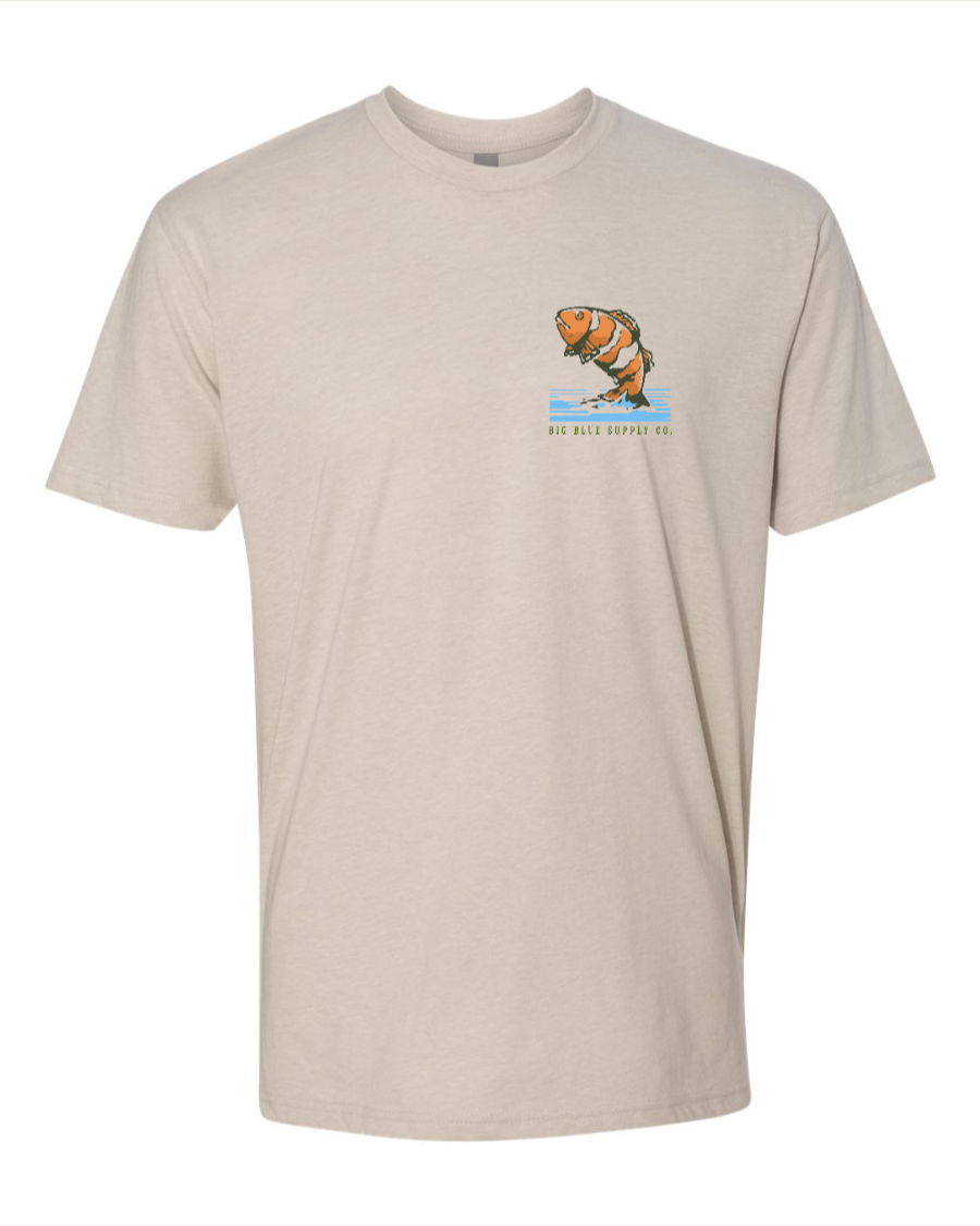 Found Him (Nemo) - Next Level T-Shirt