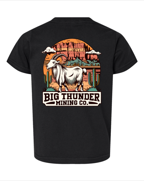 Big Thunder Mining Co