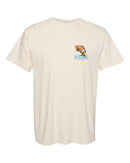 Found Him (Nemo) - 100% Cotton