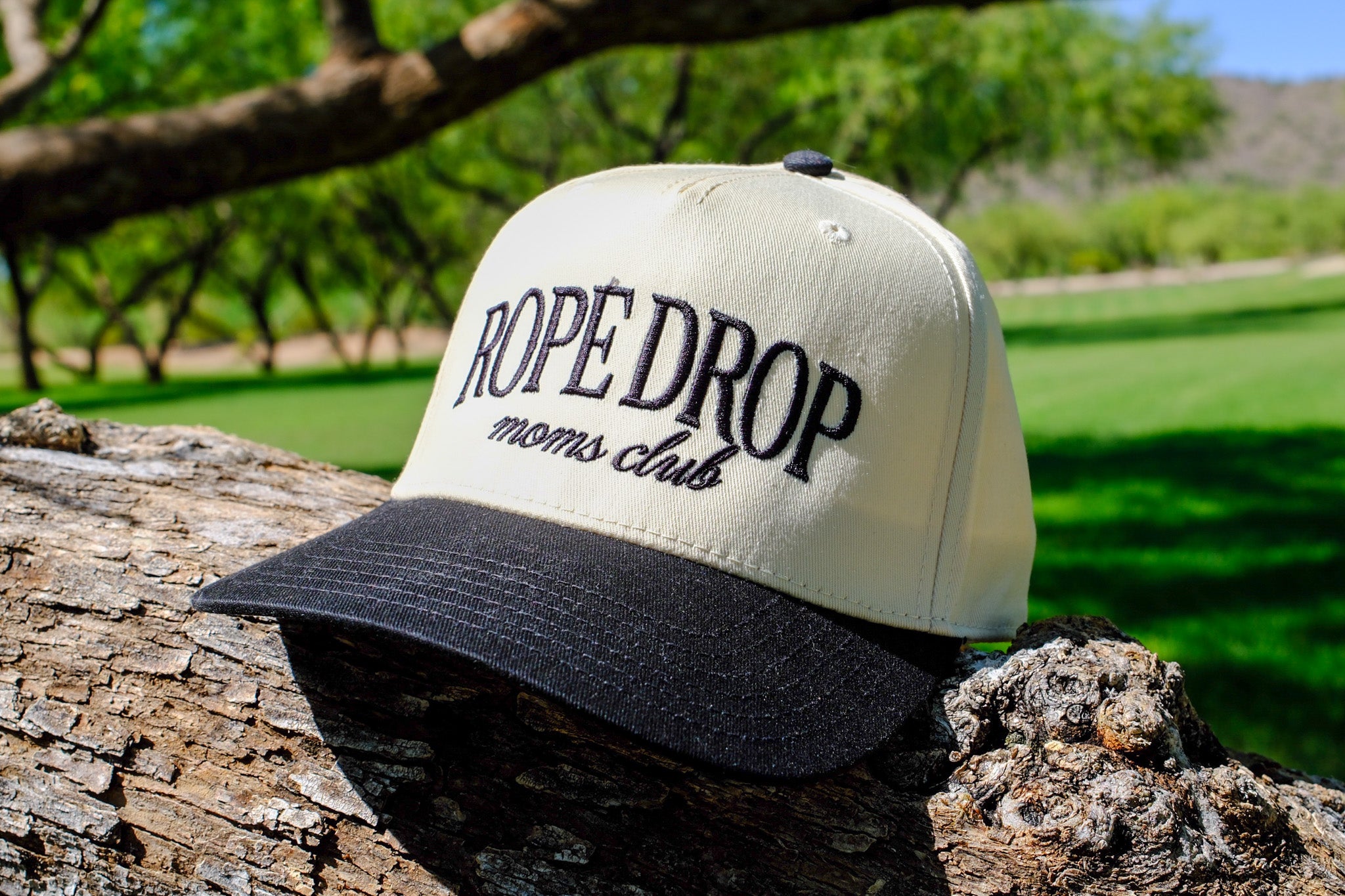 Rope Drop Moms Club Hat